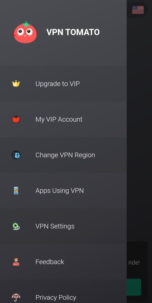 VPN Proxy Apk
